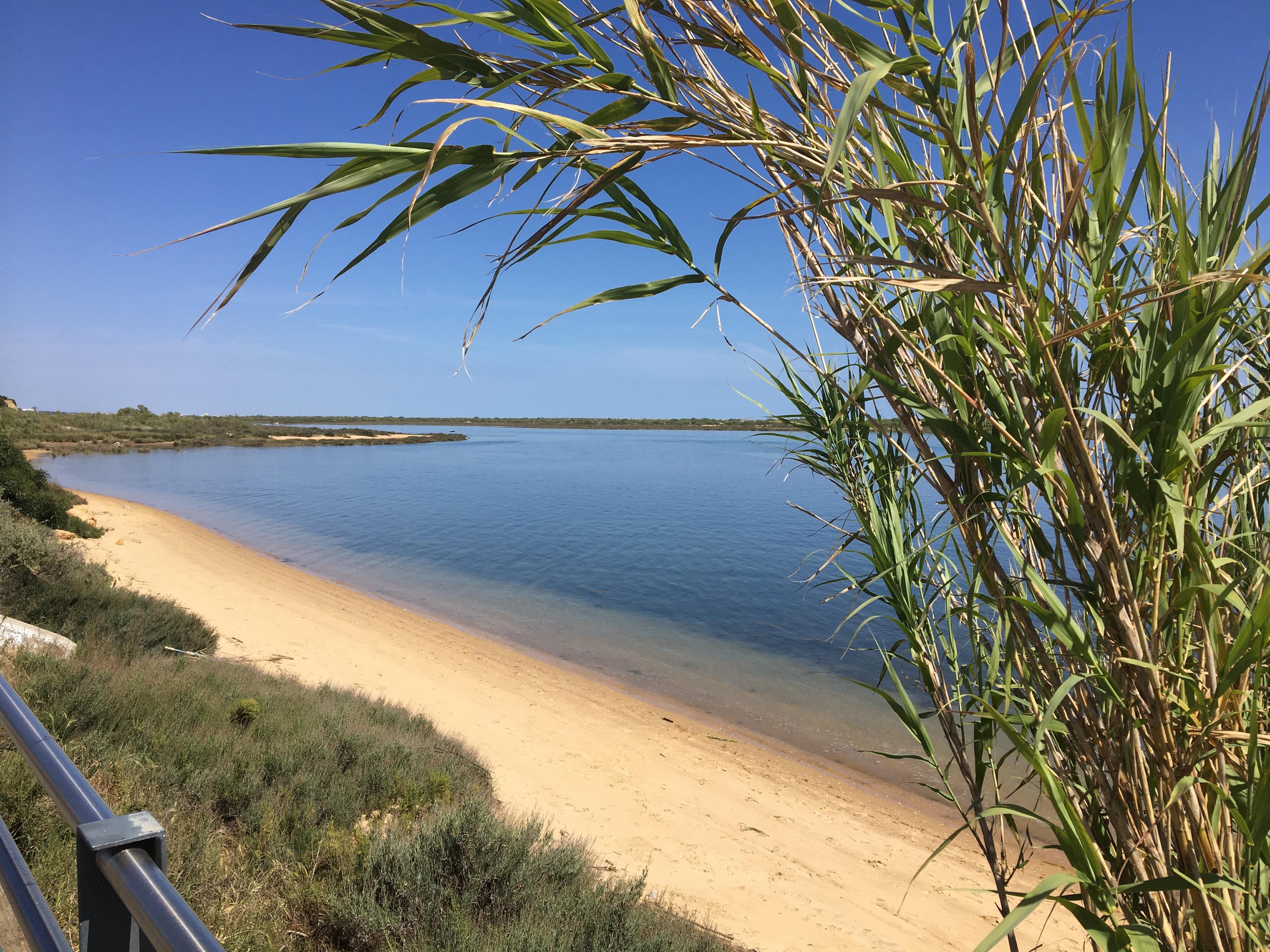 A little slice of paradise. View from the Boardwalk