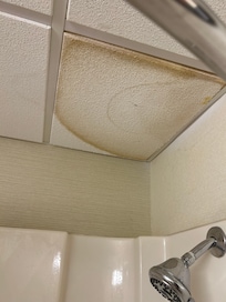 Ceiling in bathroom