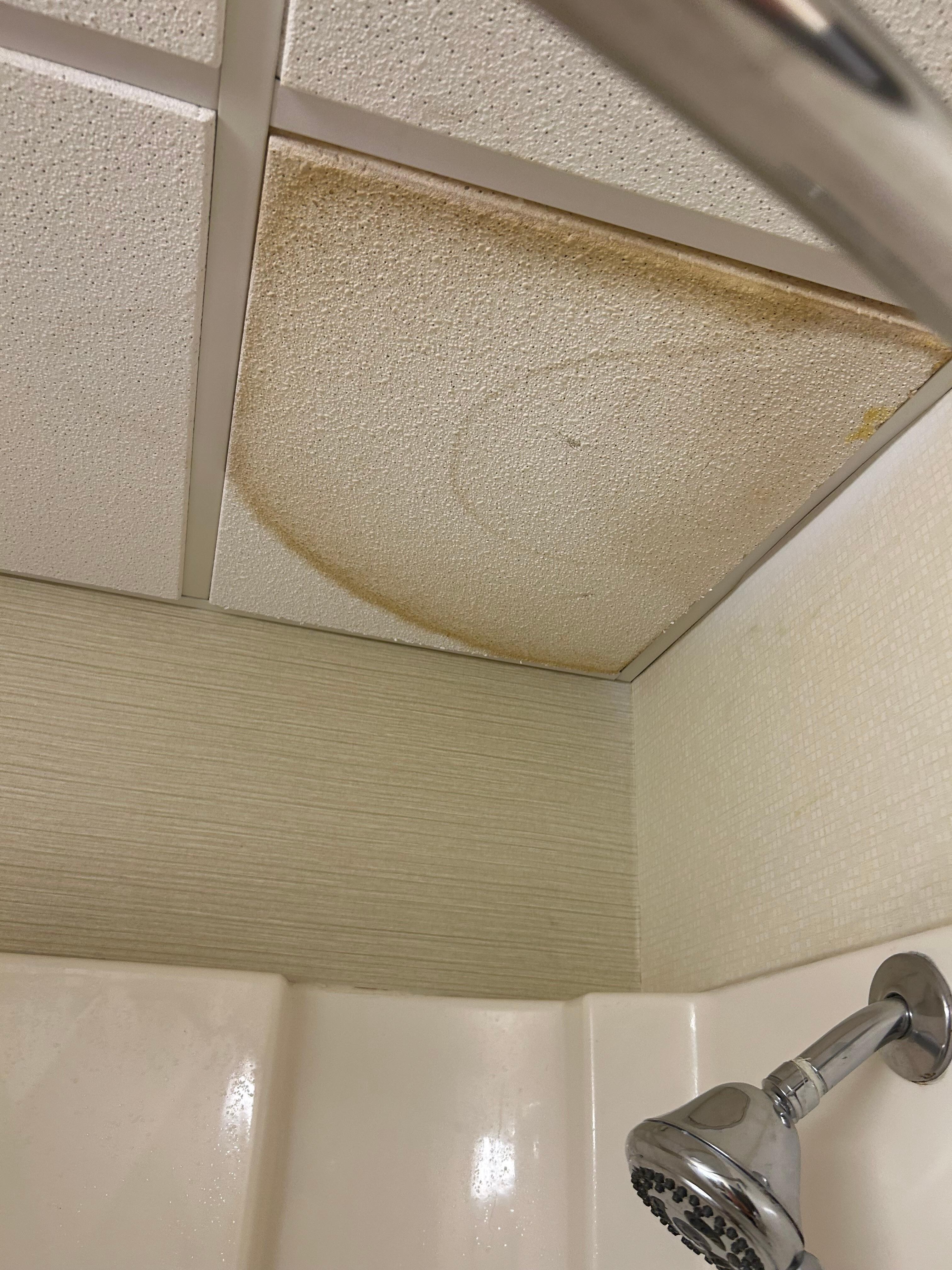 Ceiling in bathroom 