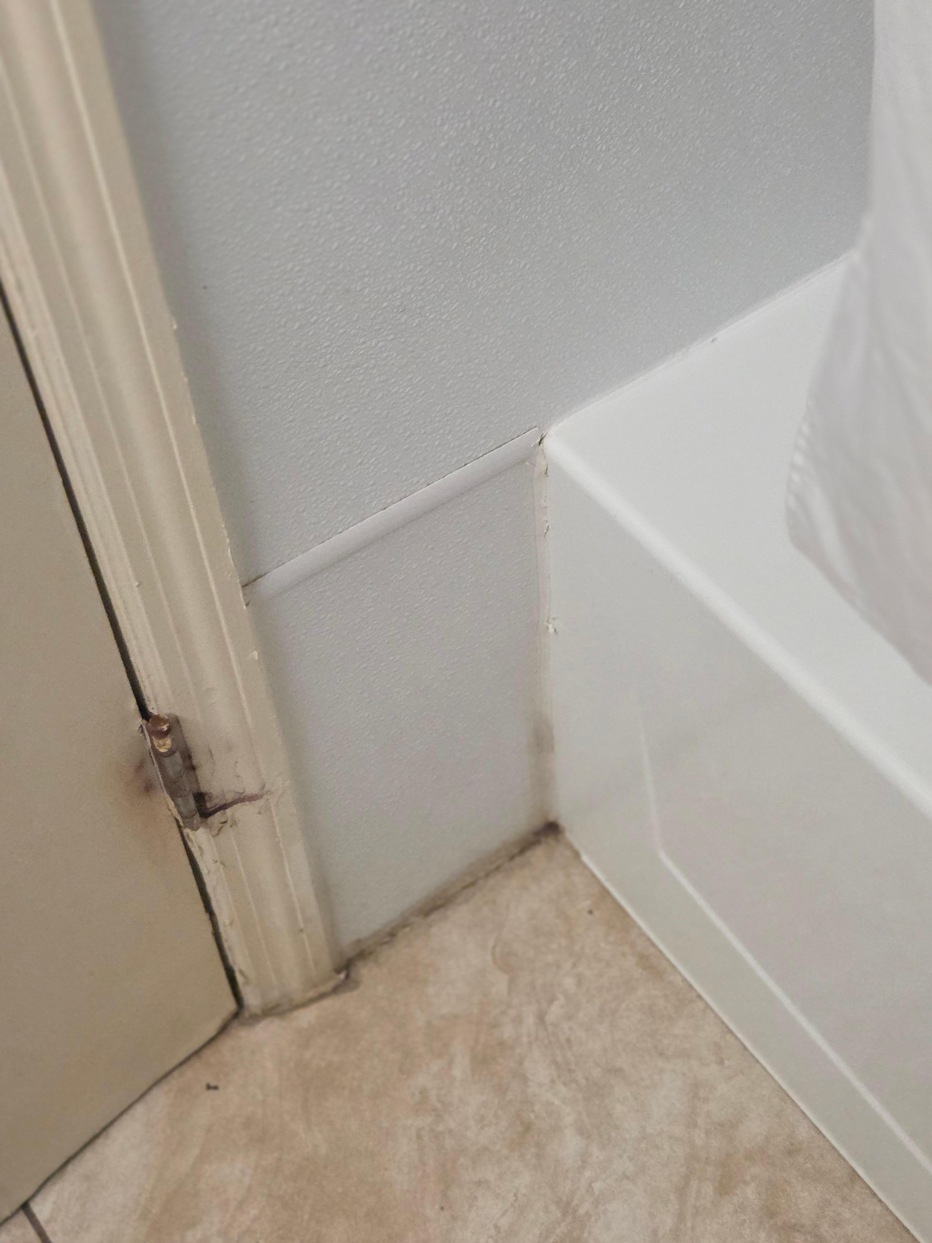 Mold on baseboard and clump of hair on the door hinge