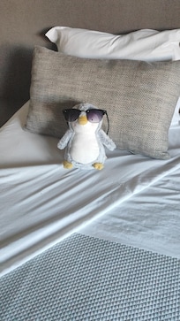 Foi a parte mais engraçada que encontrei depois de um dia passado fora 😂😂😂 quando cheguei ao quarto .deixado pelas senhoras da limpeza na cama da minha filha