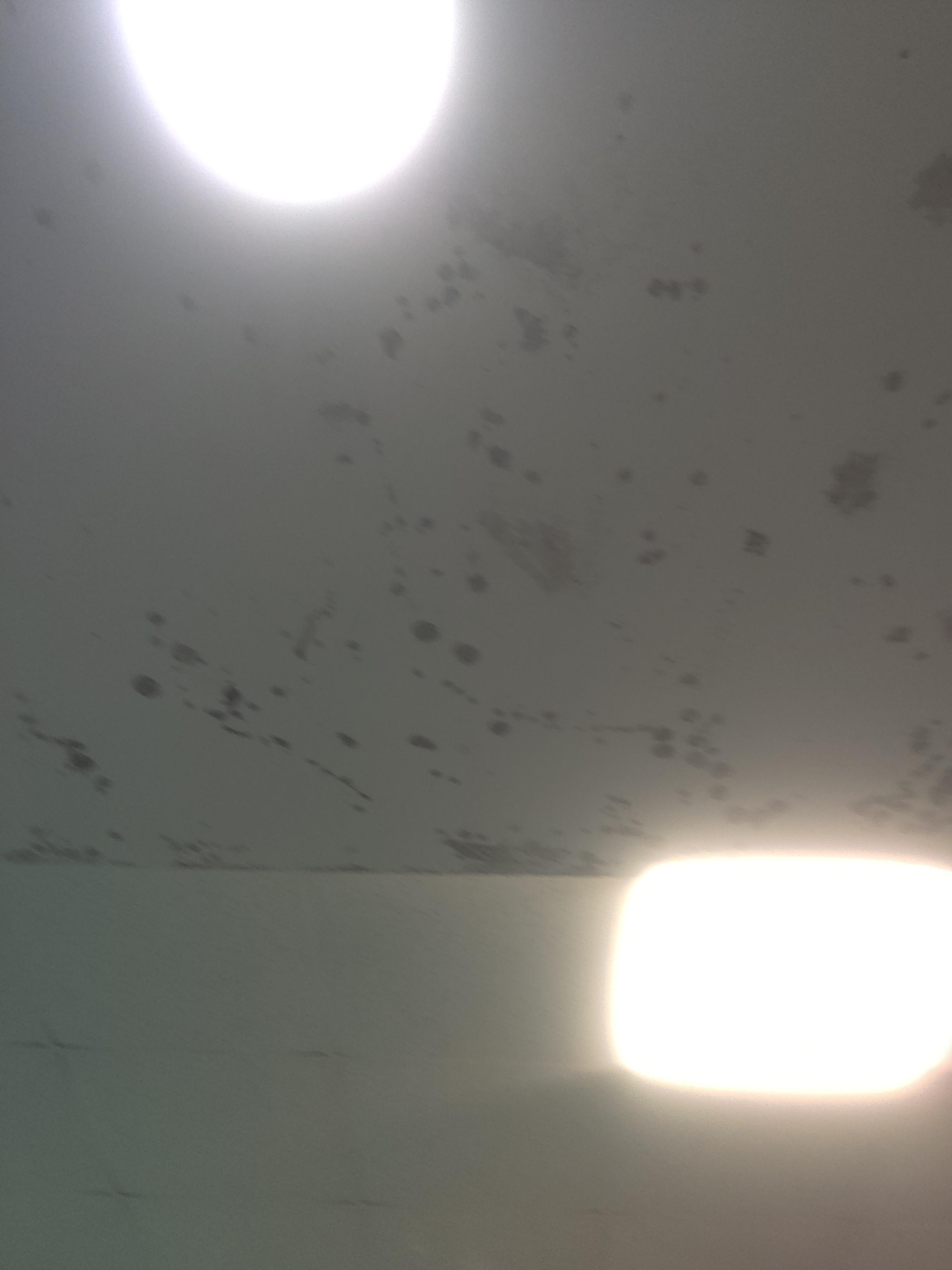 Mold on the ceiling in the swimming pool