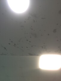Mold on the ceiling in the swimming pool