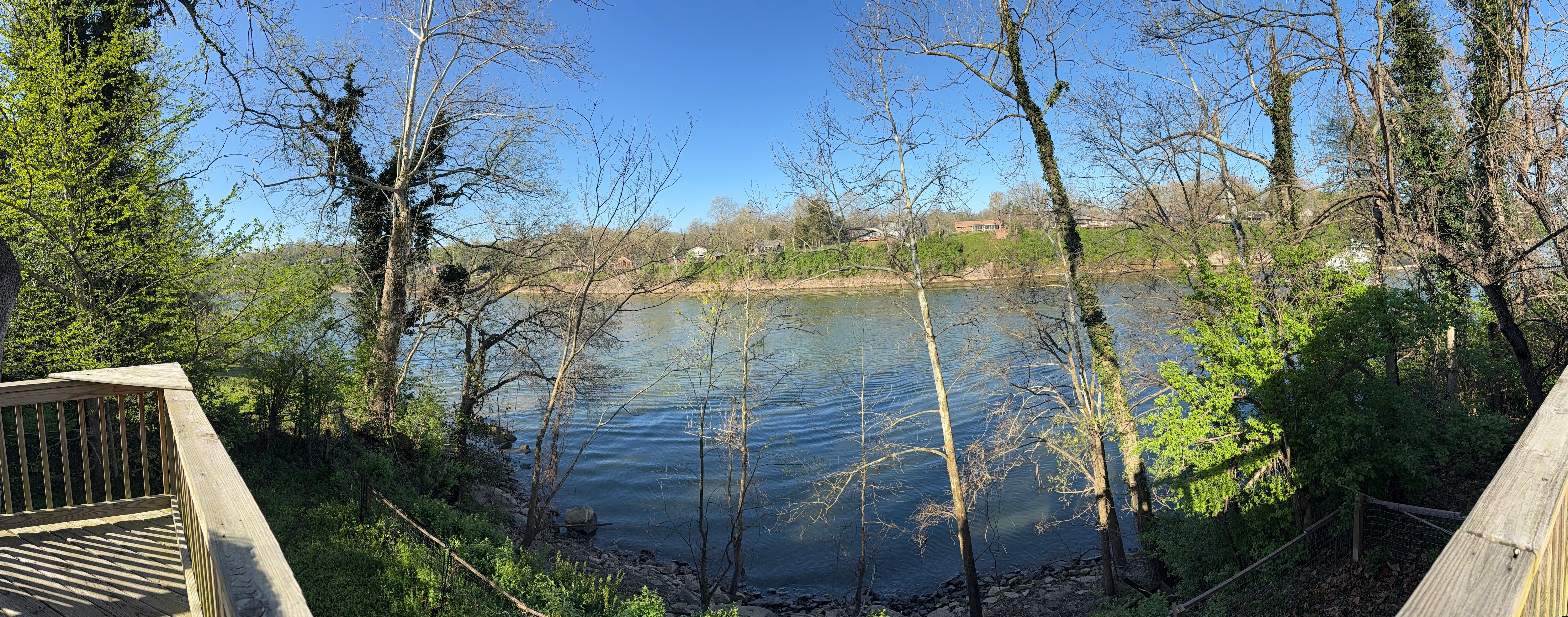 View from the deck