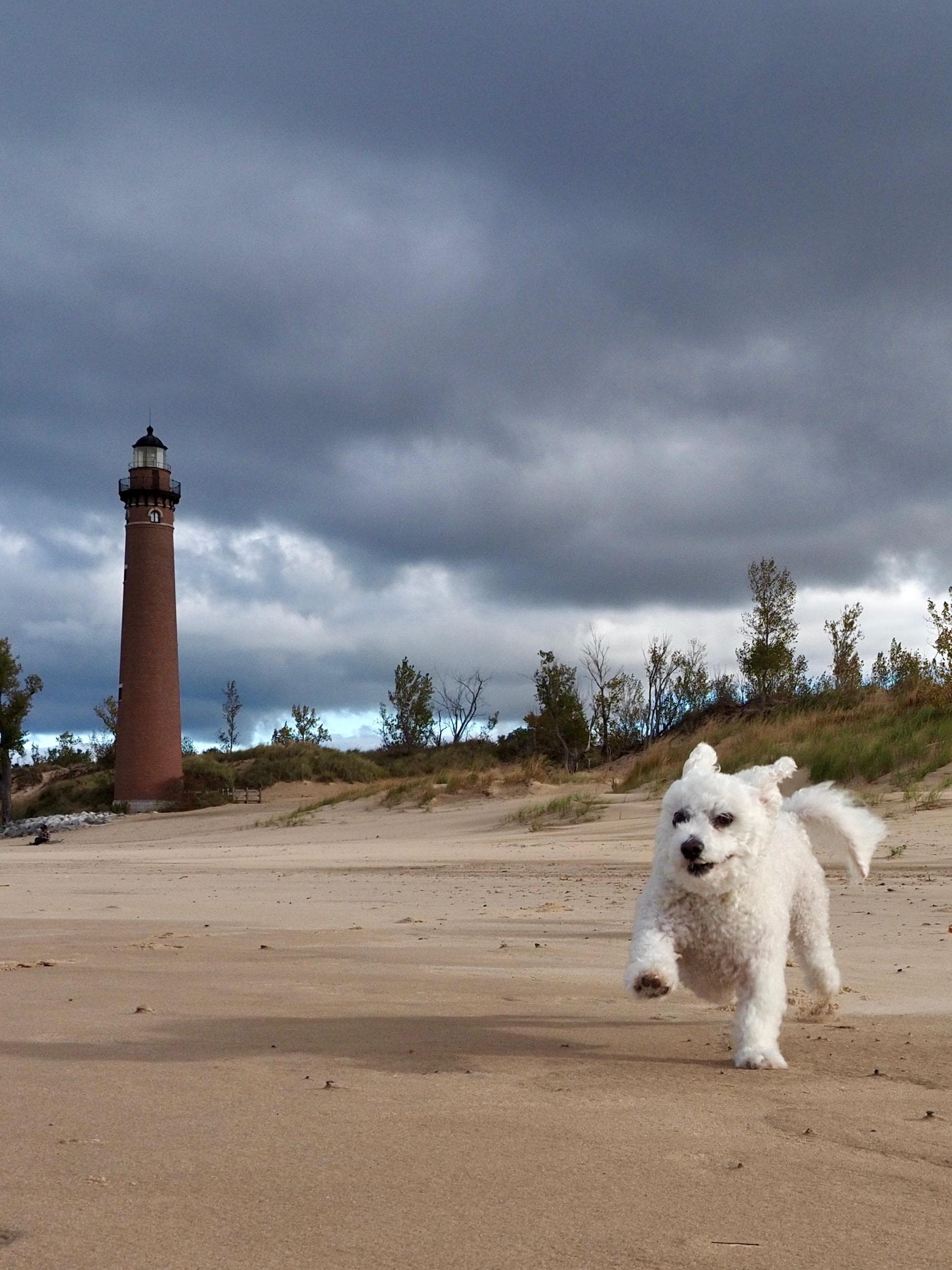 Little Sable Point Lighthouse 