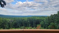 View from Back Porch