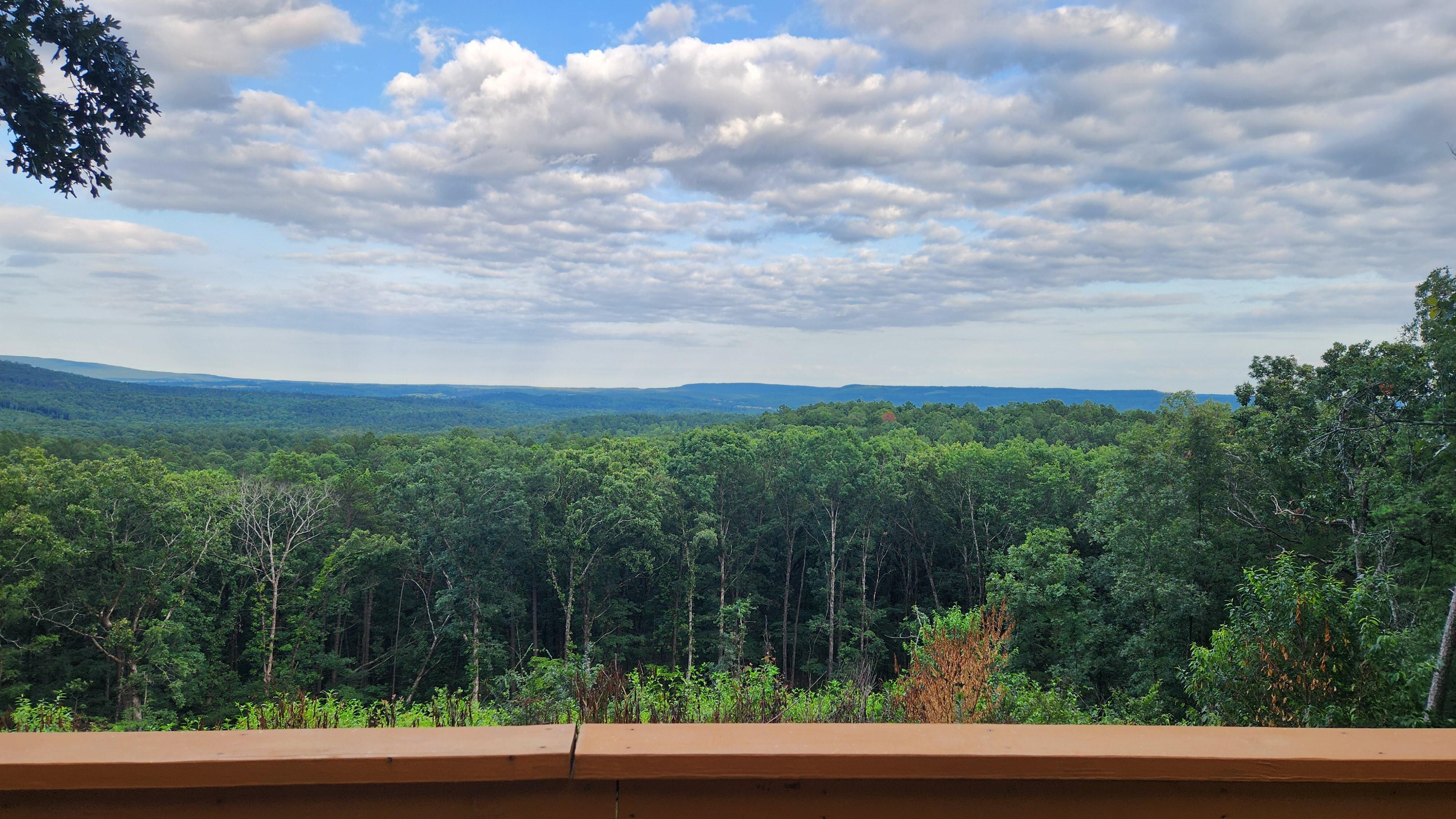 View from Back Porch