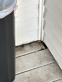 dirty deck
