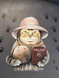 Wall by the elevator