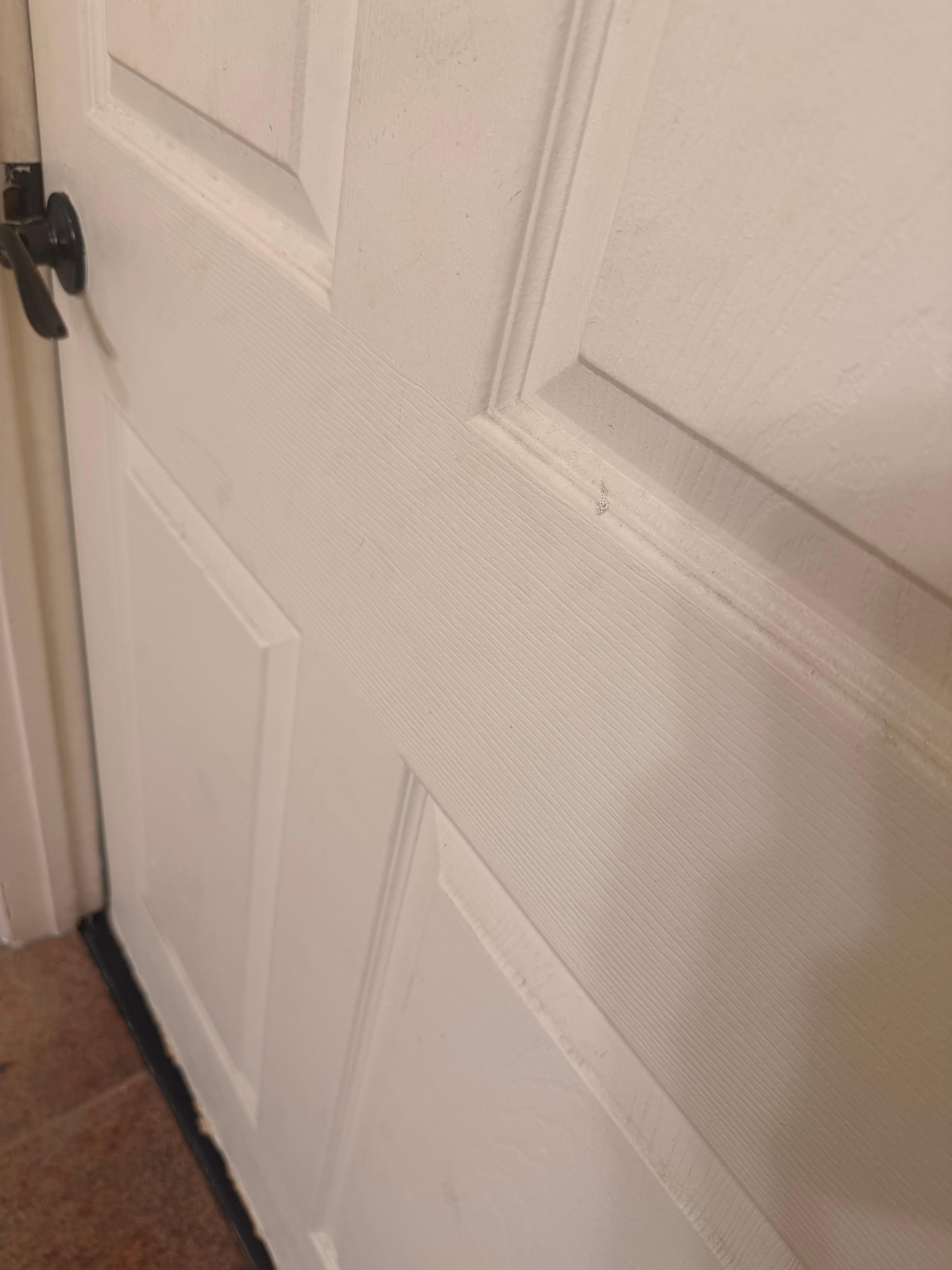 Filthy door