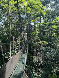 One of the 7 hanging bridges we walked and cute but mean someone following us