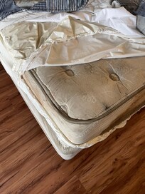 2 nd Moldy bed