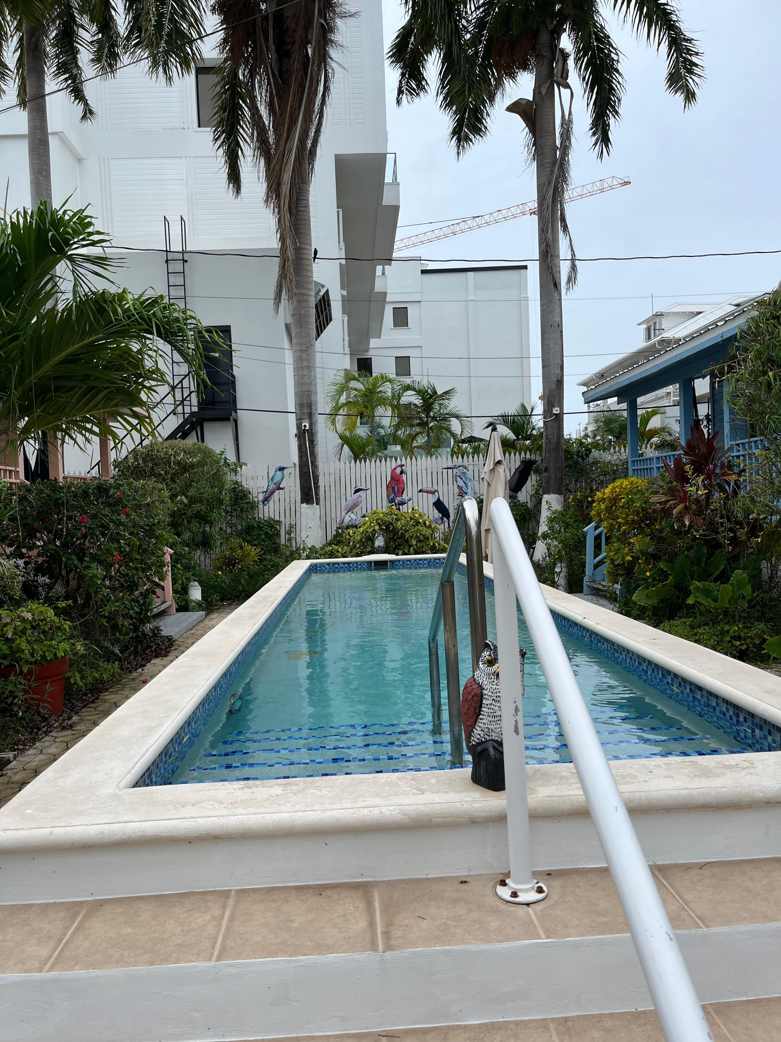 Beautiful pool
