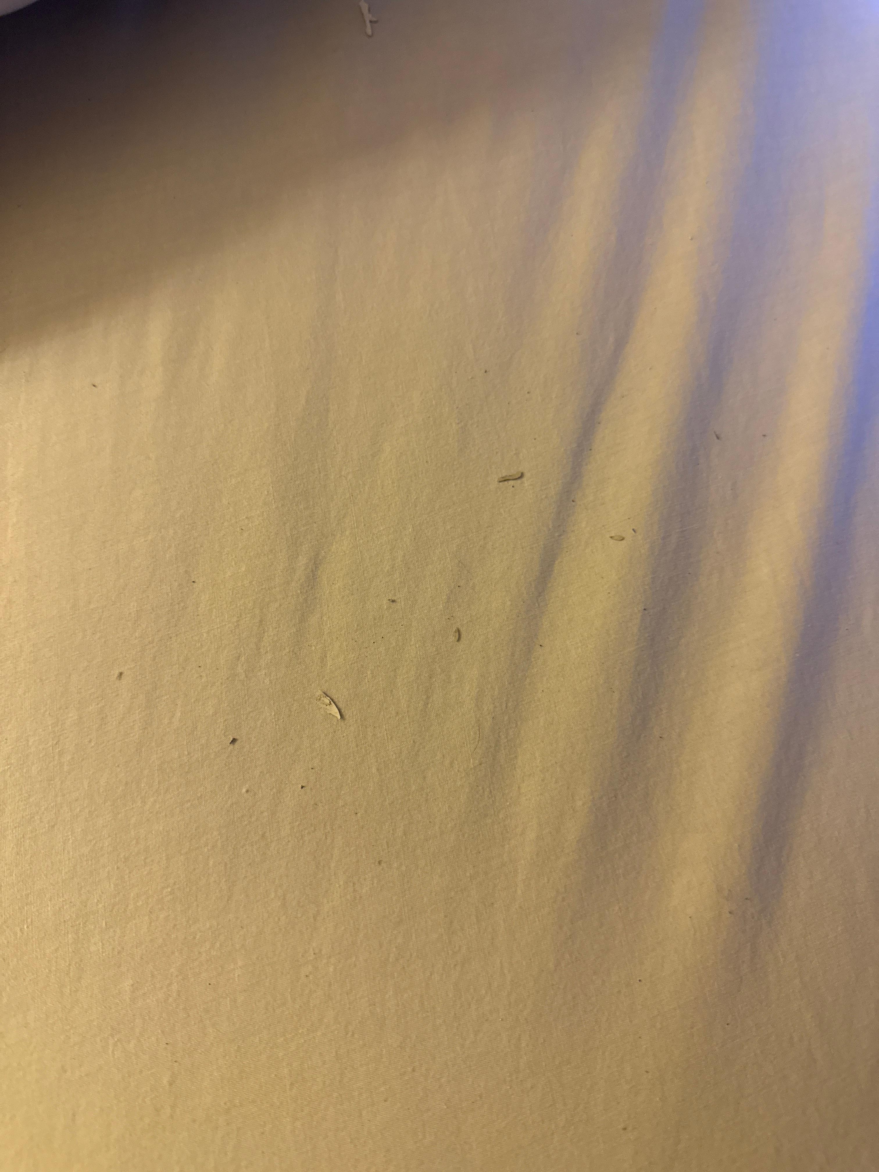 The beds were not clean