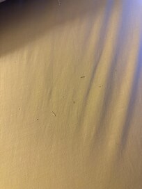 The beds were not clean