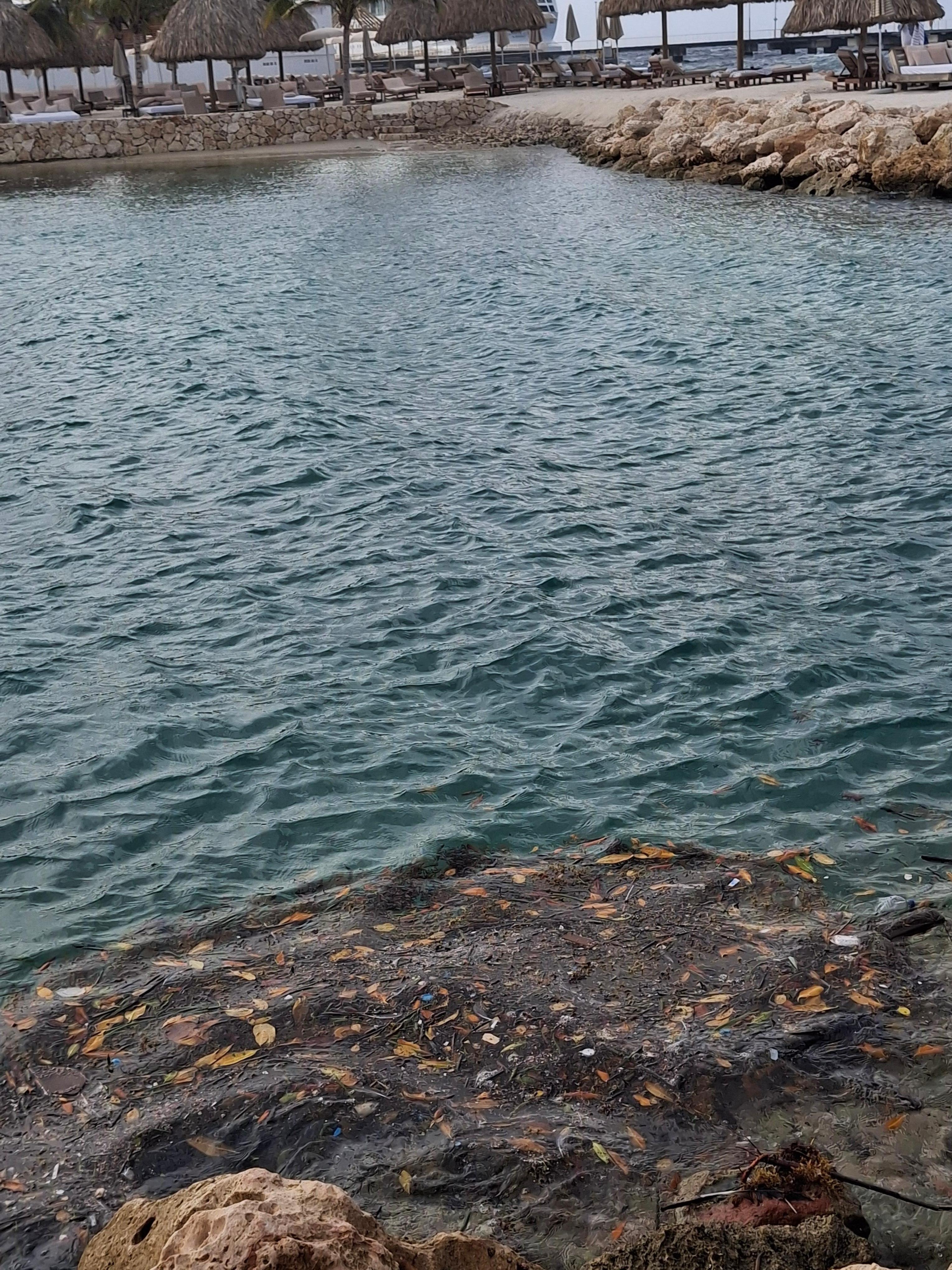 Trashy Beach