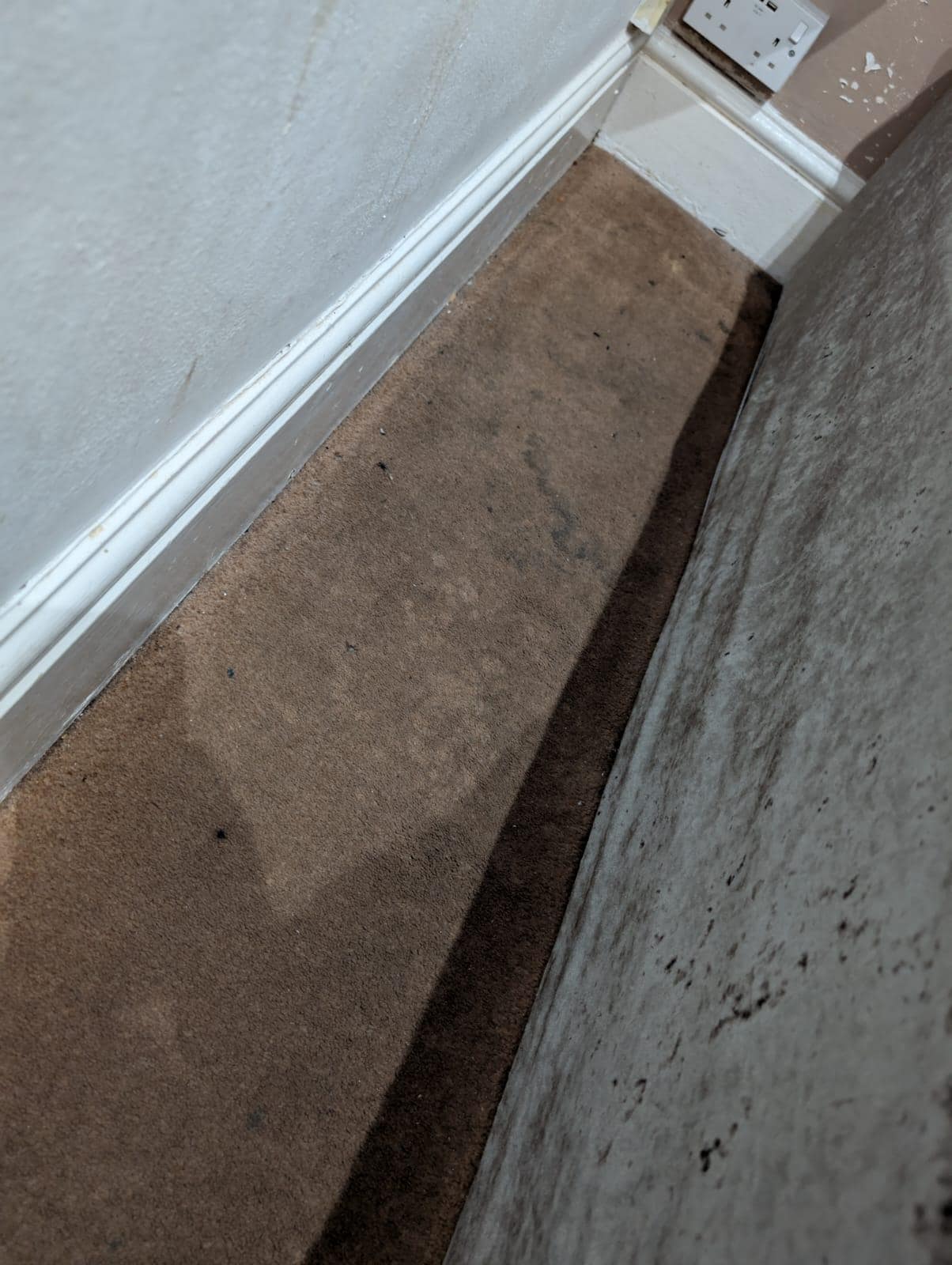 Carpet next to bed, has not been cleaned for months. and mouldy!!! 