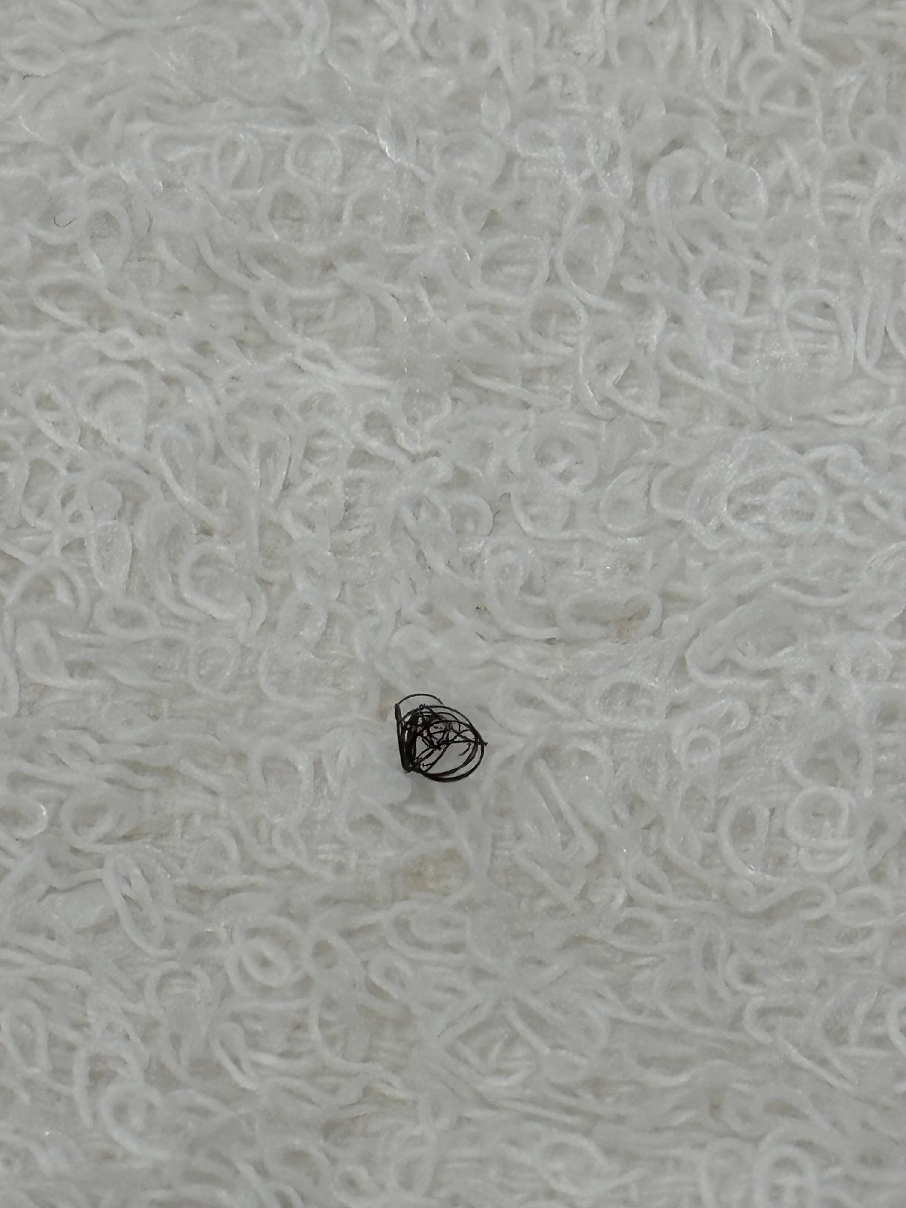 Nasty ass hair on wash cloth 