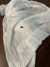 More mouse droppings