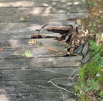 Rotted wooden walkway that nearly toppled my husband.