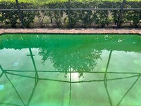 green pool