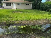 Swampy Yard