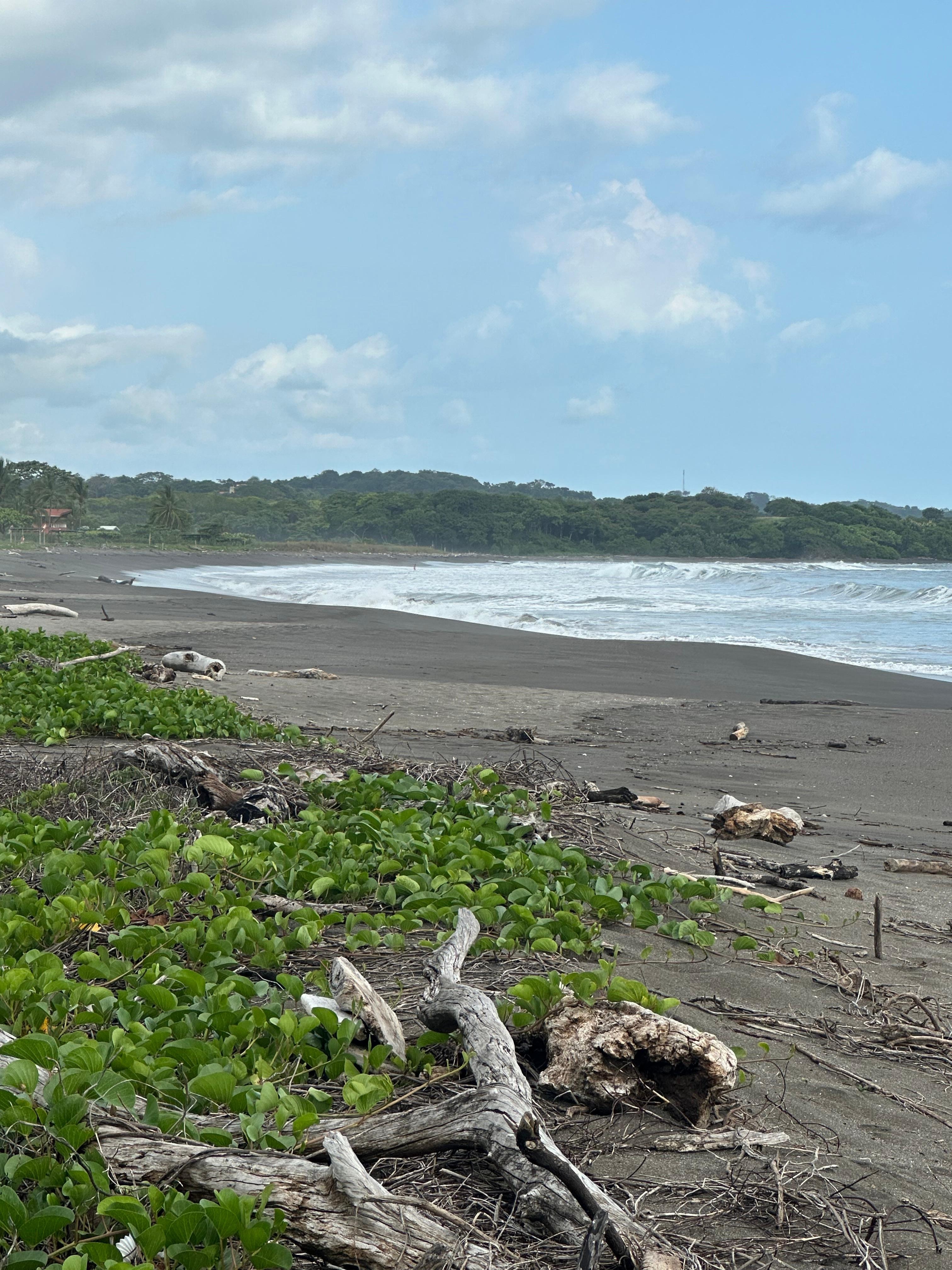 Beach right out the sliding door from living room