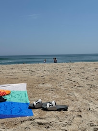 Beach day!