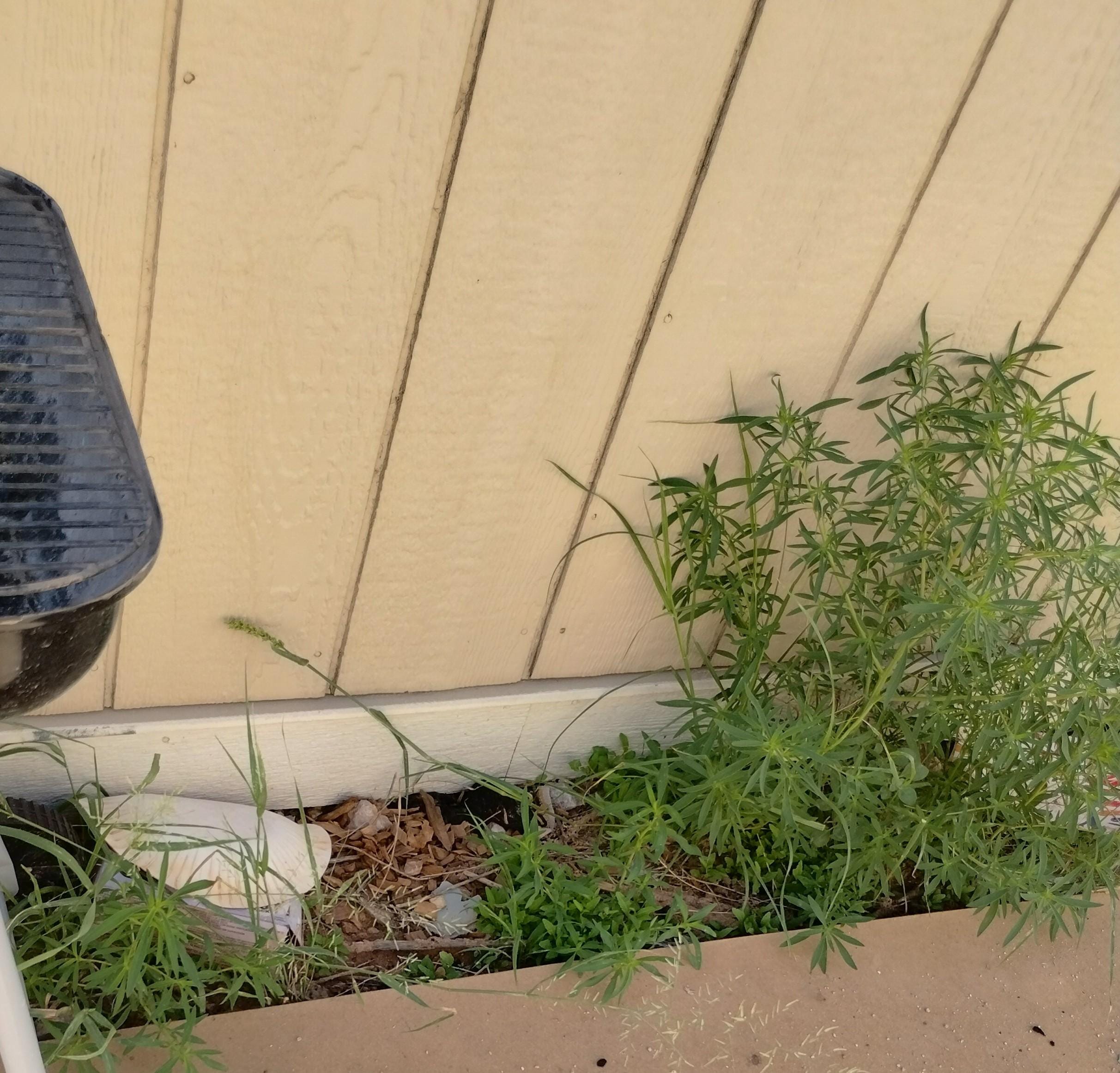 Trash and clothes outside