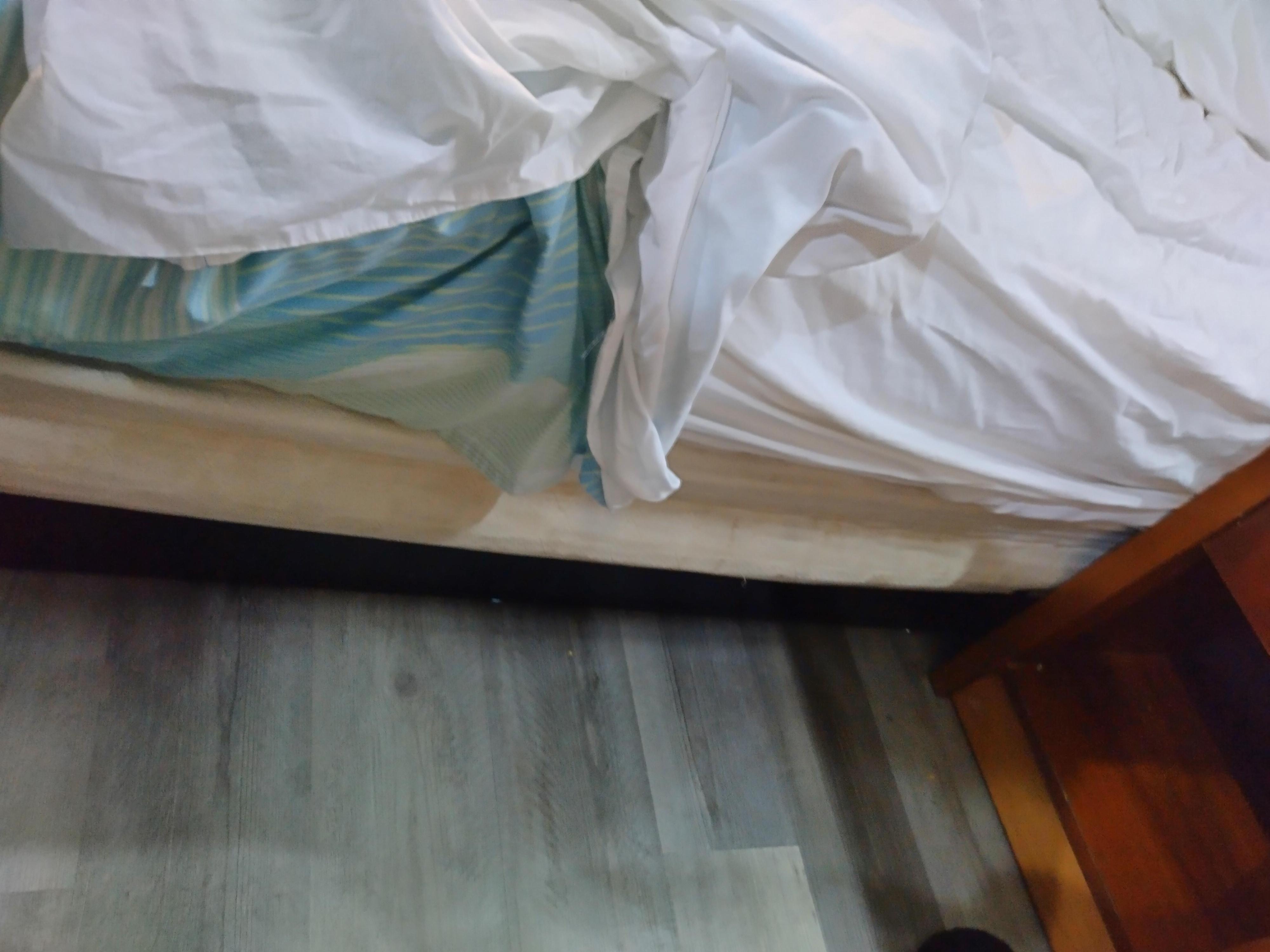blood on the bed and the bed was broken