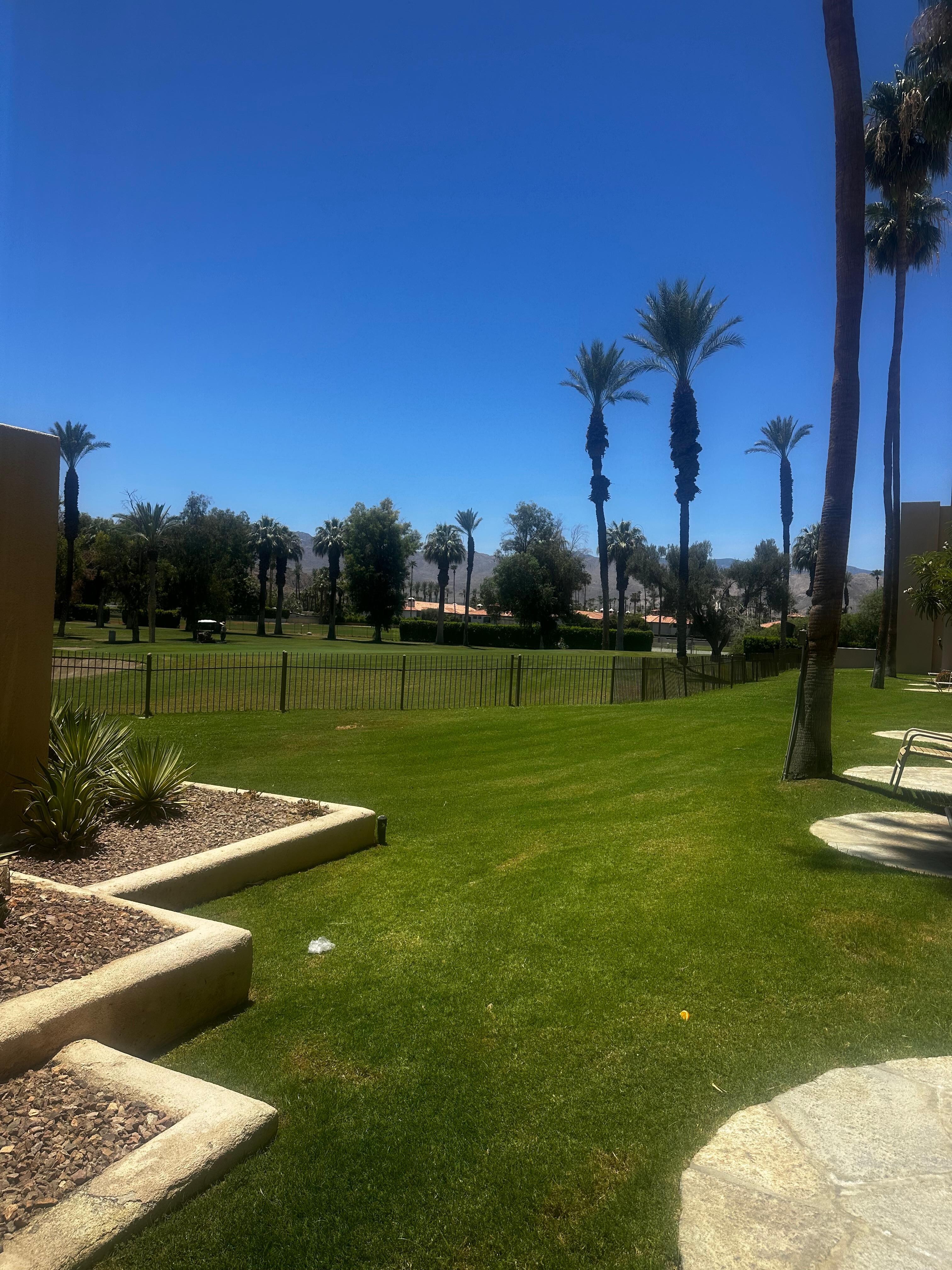 Golfing!