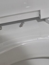 This appeared to be a dust mite on the toilet seat.