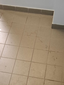 Scale alle 8 del mattino