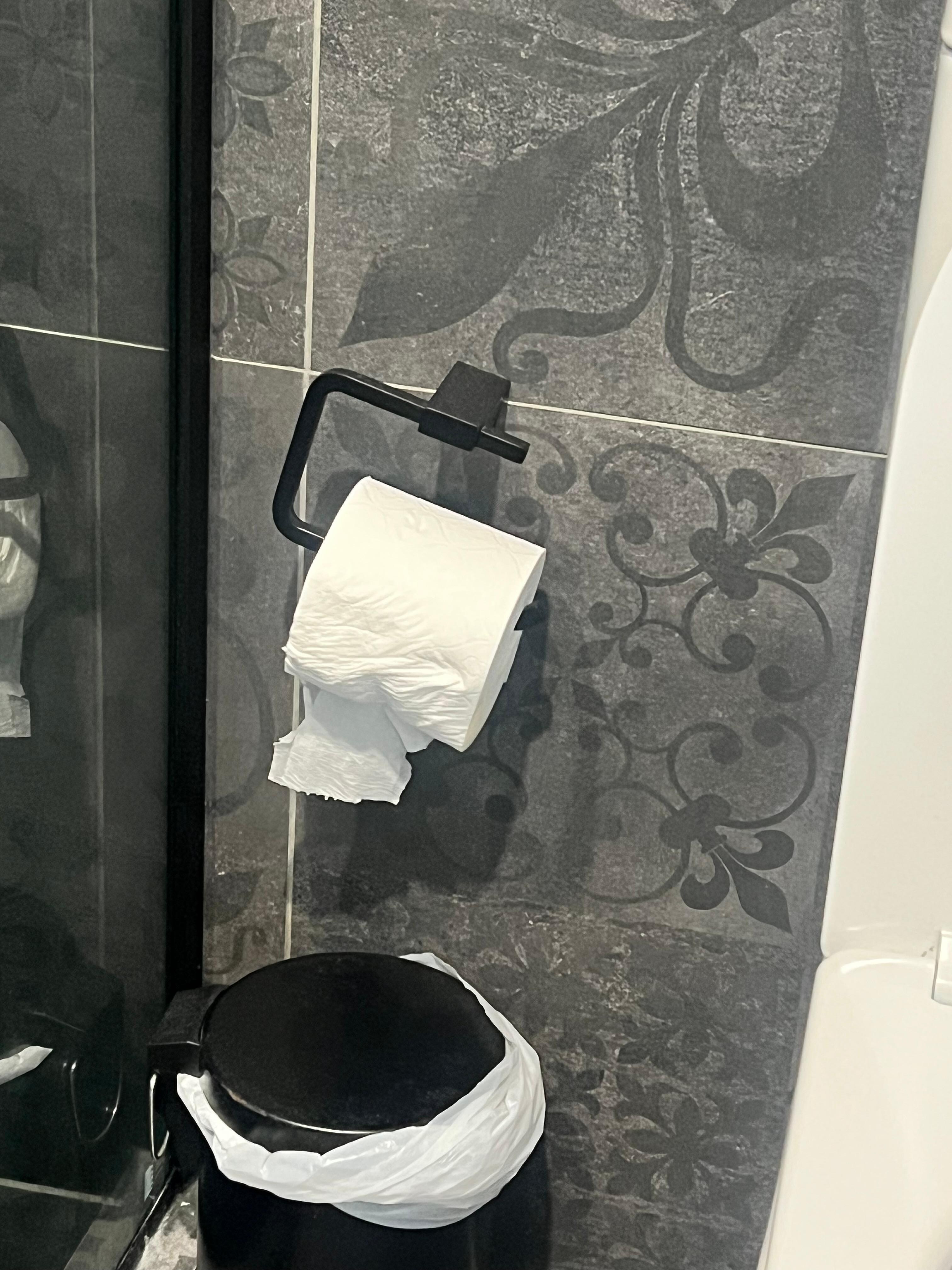 The toilet paper provided in this picture was wet on arrival and brown… don’t know what that was.