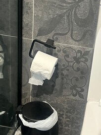 The toilet paper provided in this picture was wet on arrival and brown… don’t know what that was.