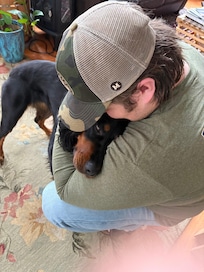 Friendly dogs on site!