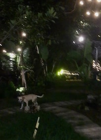 Nice right up at night