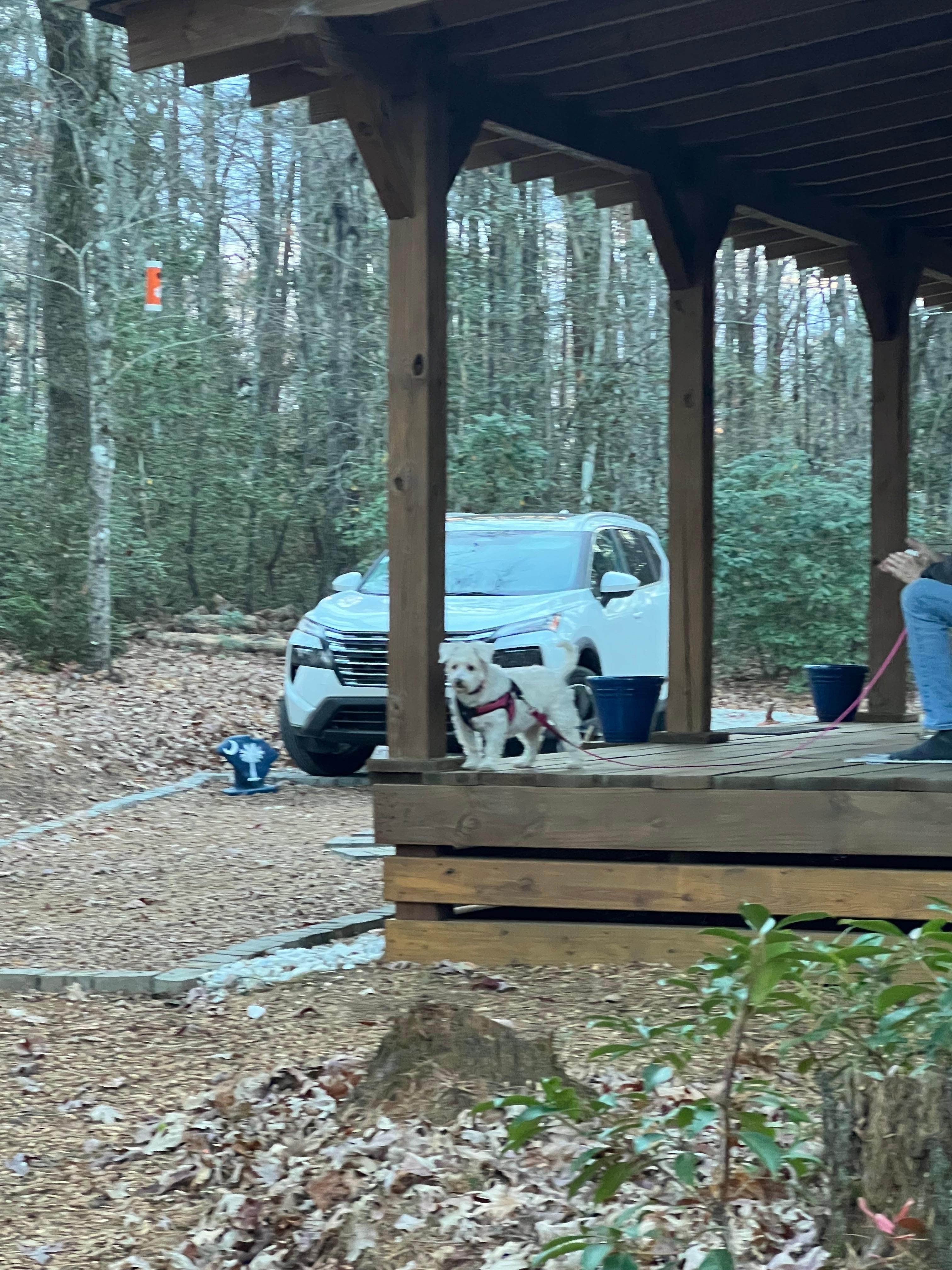 Nice seating on front porch - Mattie checks it out 