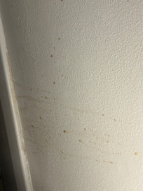 Drink spillage on the wall that would easily wipe off with damp cloth