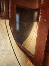 Spider in bathroom