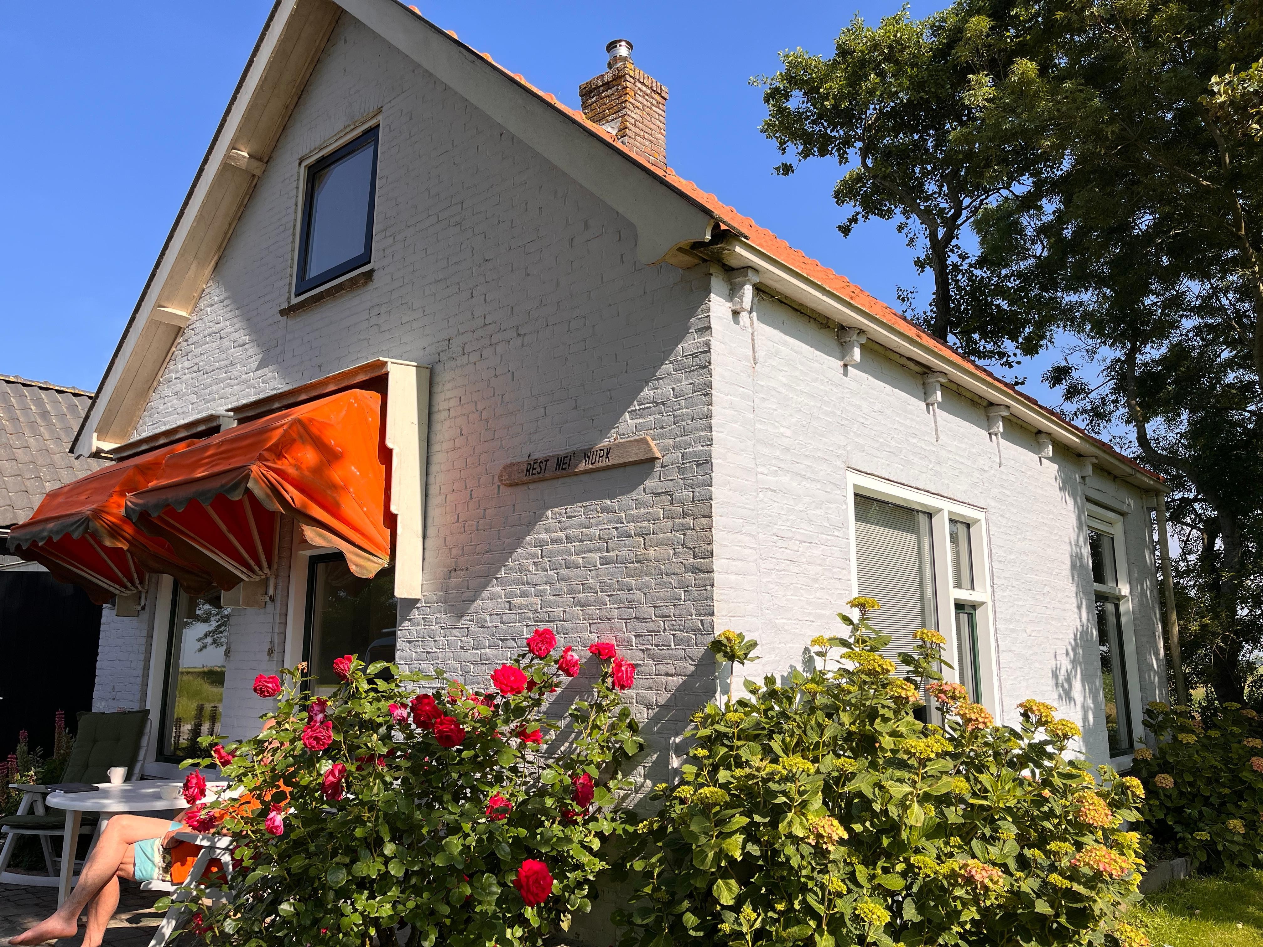 Haus rund herum bepflanzt