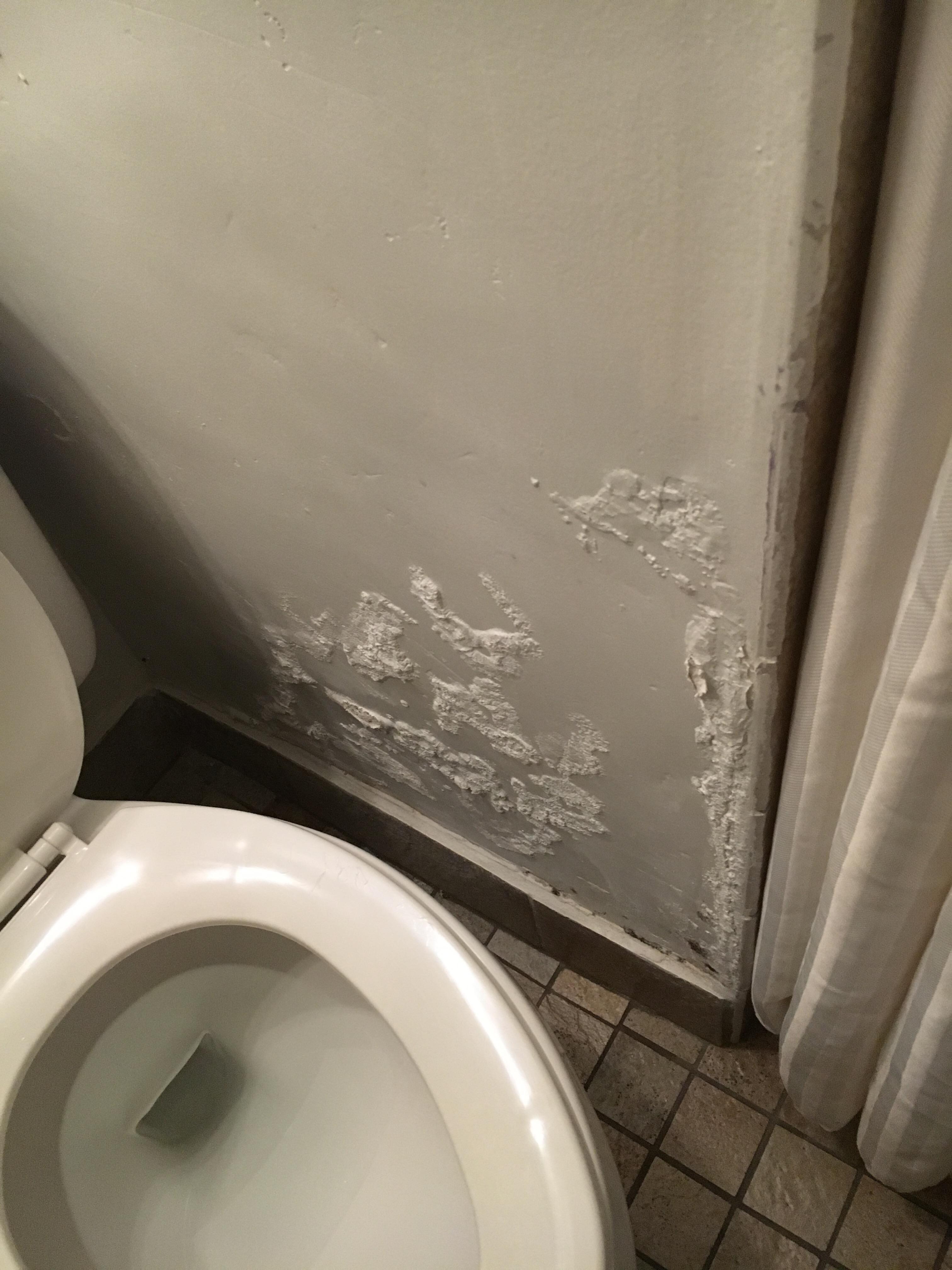 Bathroom not well maintained