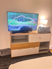 Nice TVs a decoration