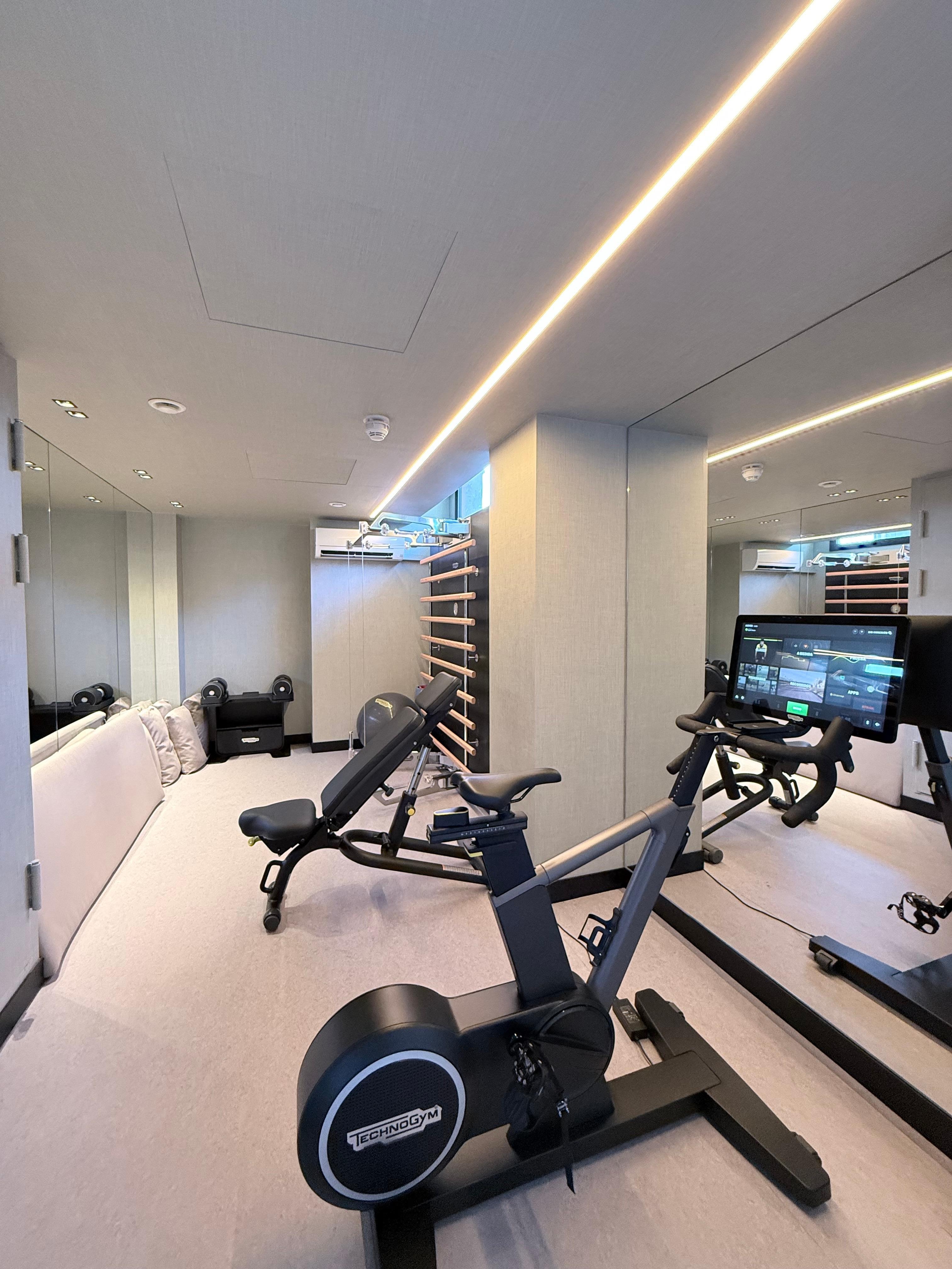 Gym, could do with a more complete set up