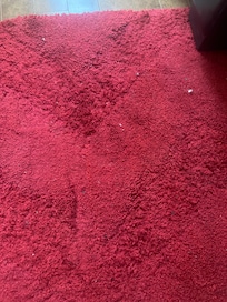 Filthy carpet
