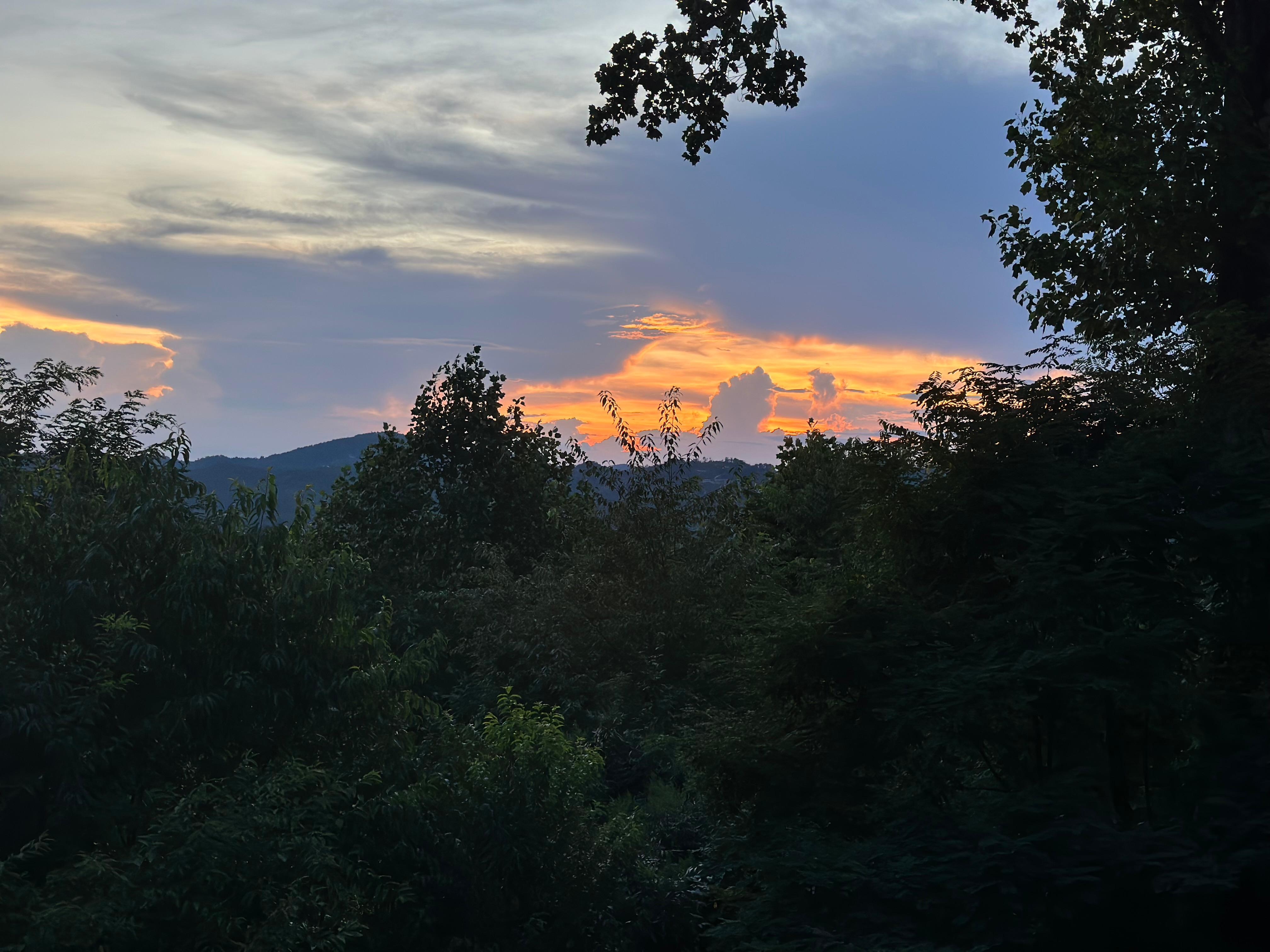 View from living room window