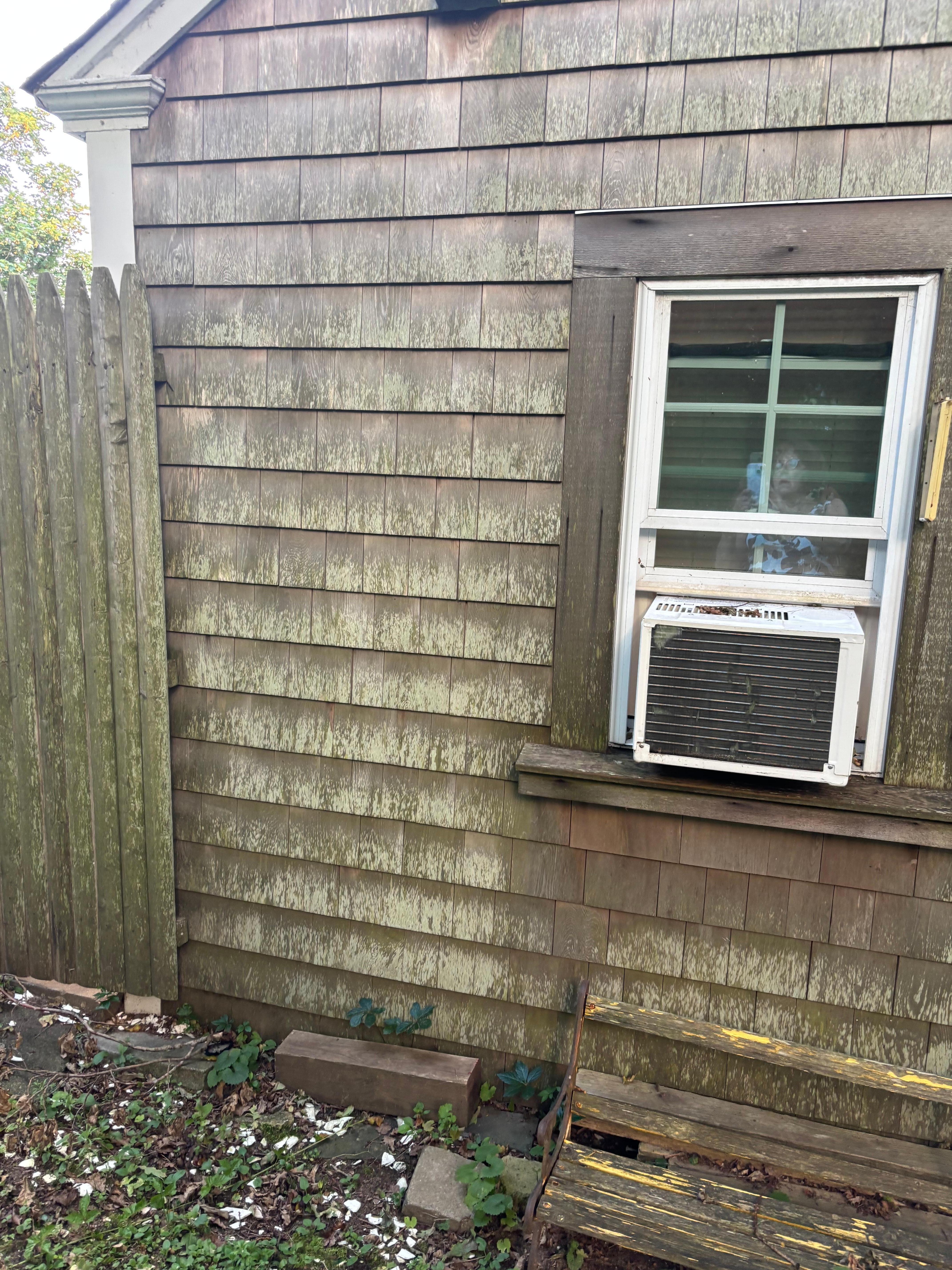 Outside needs work/ new shingles