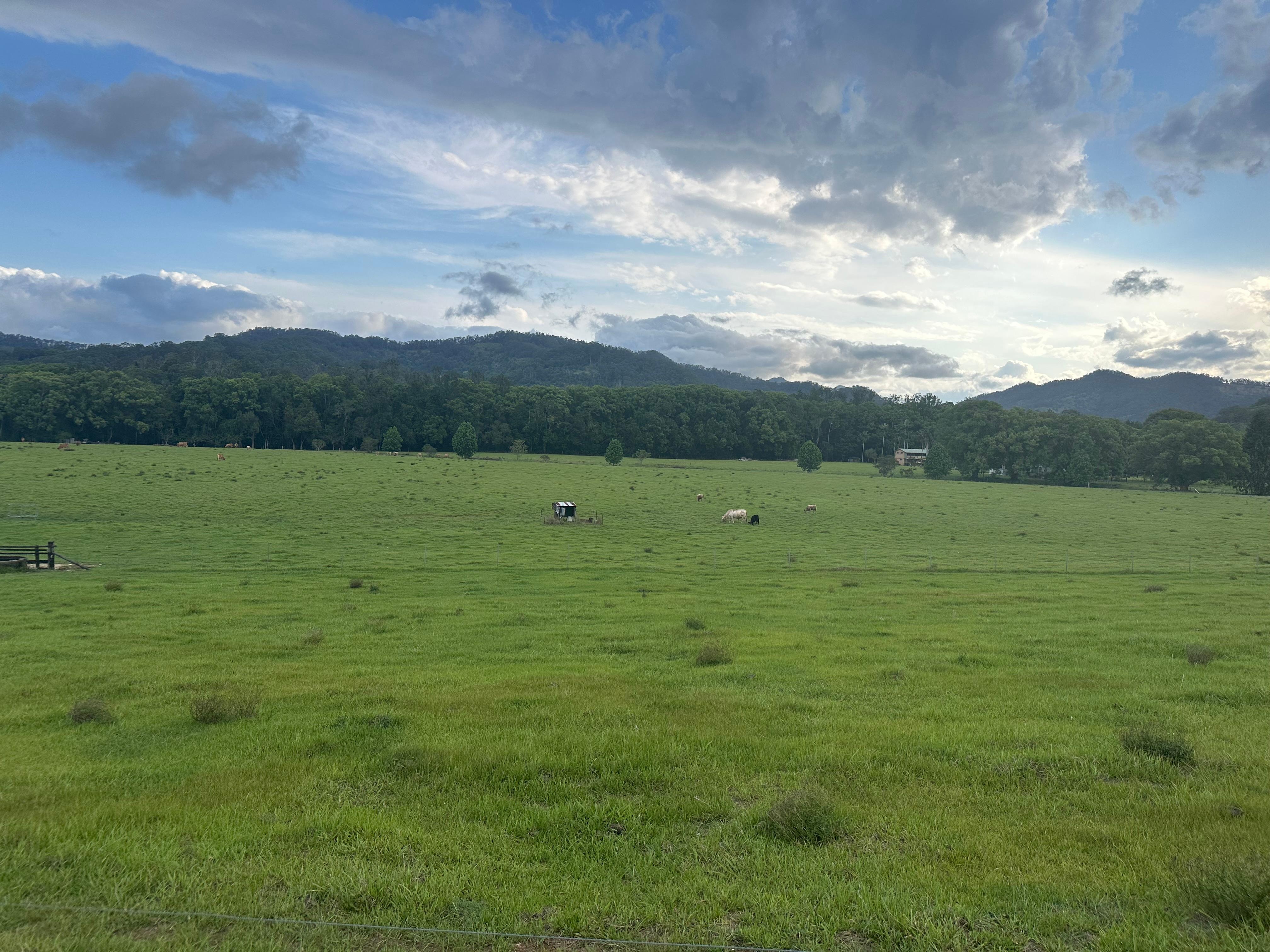 Mountains in the distance on all sides. 