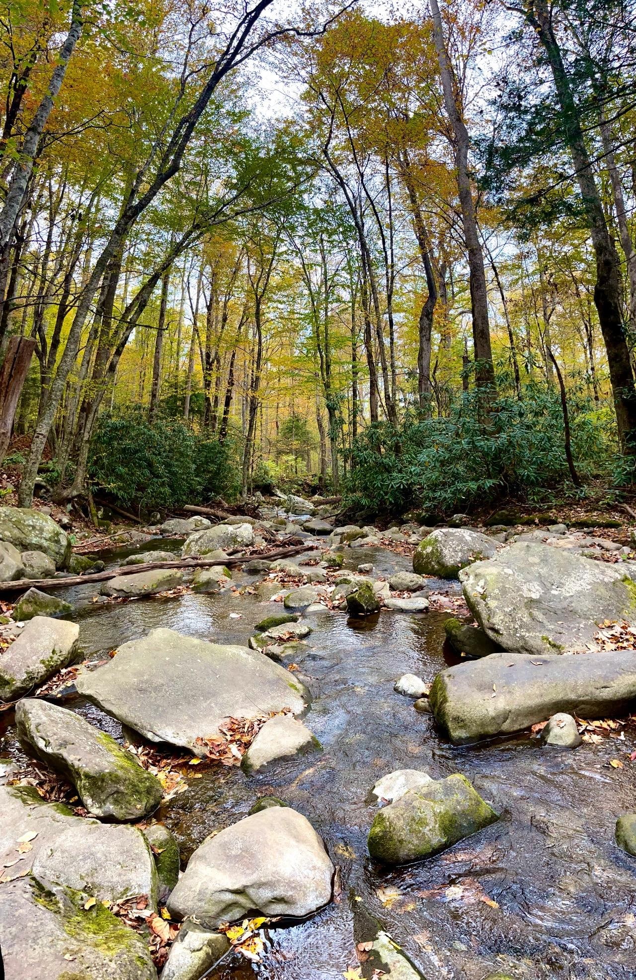 Roaring Fork Motor Nature Trail