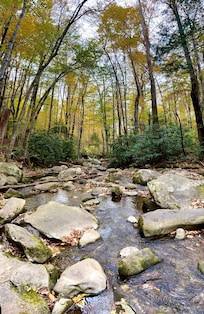 Roaring Fork Motor Nature Trail